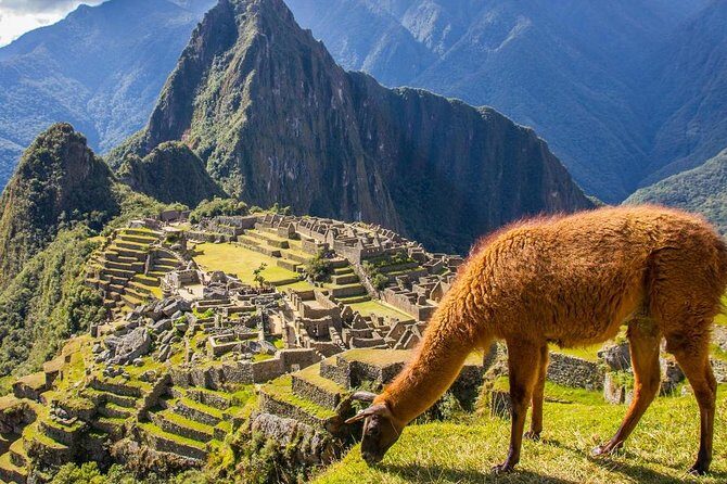 2 Day Machu Picchu Train Adventure from Cusco - Aguas Calientes Afternoon: Museum, Orchids, or Just Hot Springs