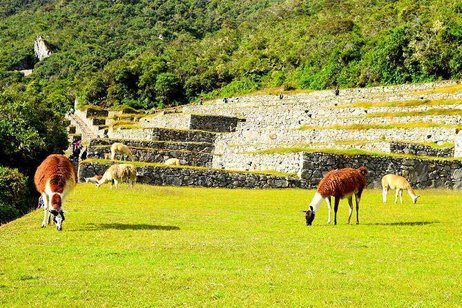 2-Day Private Tour of the Inca Trail to Machu Picchu - Optional Tickets: Huayna Picchu or Machu Picchu Mountain