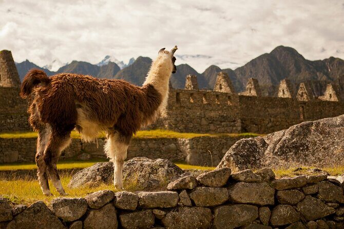 2-Day Short Inca Trail Hike to Machu Picchu - Getting moving at 4:30 a.m.: Cusco to Km 104 by train