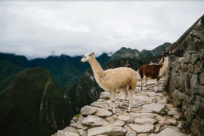 2-Day Short Inca Trail to Machu Picchu - Day 2: the early start, the 1.5-hour walk, and your guided Machu Picchu time