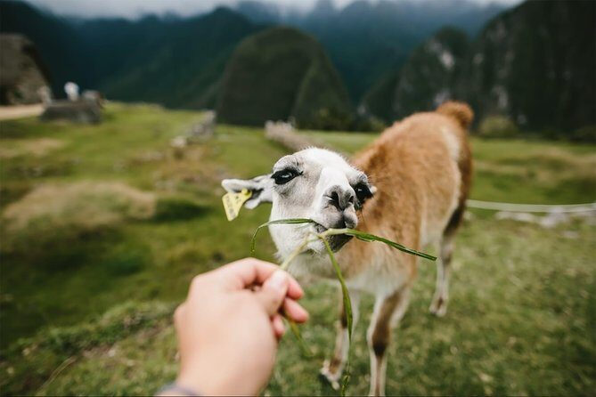 2-Day Short Inca Trail to Machu Picchu - Price and value: what $680 gets you in the Andes
