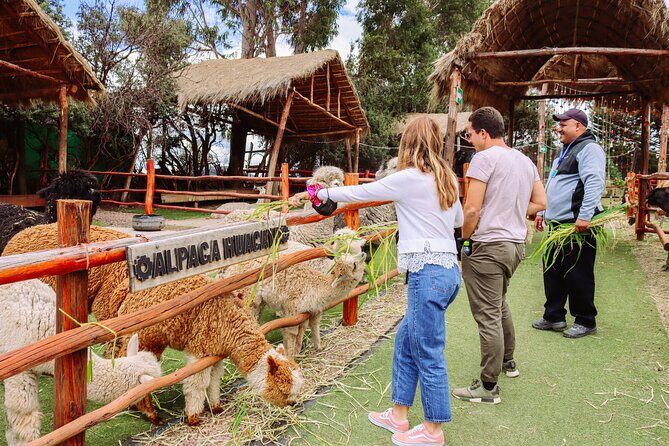 2-Day Tour: Sacred Valley & Machu Picchu – All Tickets Included - Awana Kancha alpaca farm: the stop that sets the tone