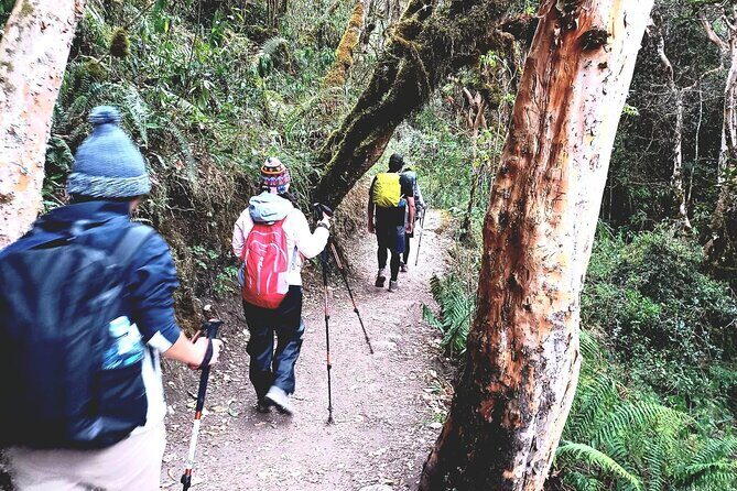 2 Days and 1 Night Tour of Inca Trail to Machu Picchu - Day 2 at Machu Picchu: guided highlights and the sunrise option
