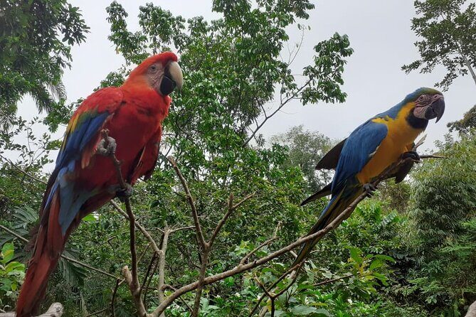 3-Day Eco-Sustainable Private Tour Manu National Park - Price and value: is $389 a fair deal for a private Manu tour?