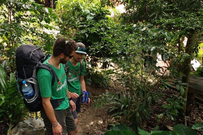 4-Day Inca Jungle Trail to Machu Picchu Hiking and Biking Tour - Day 4: Machu Picchu sunrise at 5:10 a.m., a guided circuit, then down to the hot-springs town