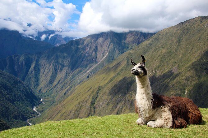 4 Day - Inca Trail to Machu Picchu - Group Service - Day 3 (10 km) to Wiñay Wayna: Town in the Clouds plus Intipata
