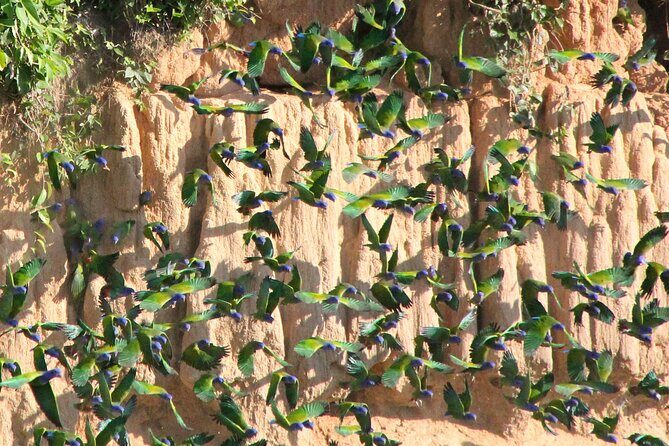 4-Day Private Tour to Manu National Park from Cusco - Price and value: is $580 fair for a private Manu trip?