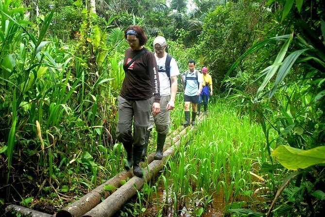 4-Day Private Tour to Manu National Park from Cusco - Day 3: Colpa clay wall feeding, Machuwasi lagoon, and caimans at night