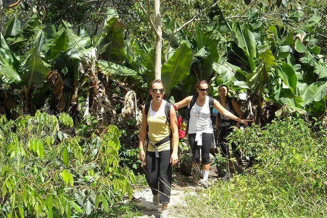 4 Days Inca Jungle to Machu Picchu Standard - Lodging and Food: Basic Comfort in Remote Places