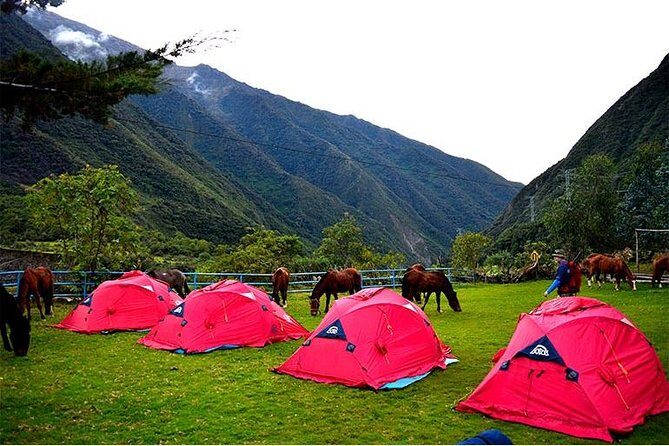 5-Day All-Inclusive Salkantay Trek To Machu Picchu - Day 2: The Salkantay Pass and the drop into warmer terrain