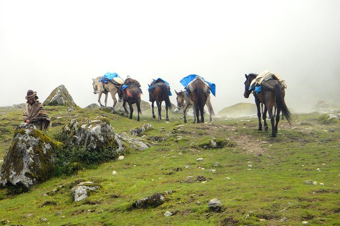 5-Day All-Inclusive Salkantay Trek To Machu Picchu - Day 5: Guided Machu Picchu morning, bus entry, then the train back