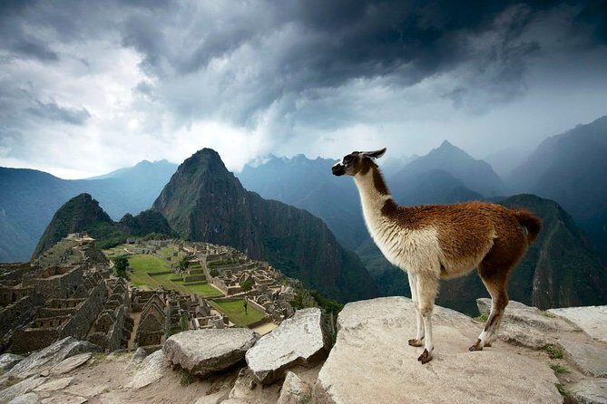 5-Day Treasures of Cusco and Machupicchu - Day 1 in Cusco: Cathedral to Tambomachay, with the Inca-to-Catholic story