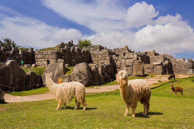 6-Day Best of Peru: Cusco, Machu Picchu, and Lake Titicaca Tour - Day 5: Lake Titicaca Uros reed islands and Taquile’s island lunch