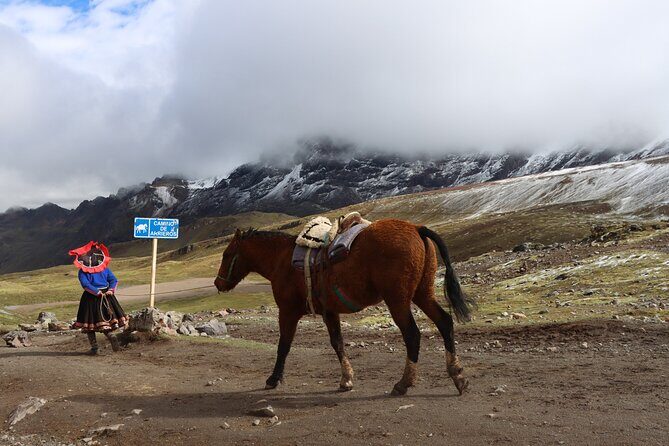 6-Day Cusco Andean Private Tour with Hotel Included - Hotels, Transfers, and Meals: What’s Actually Included (and why it matters)