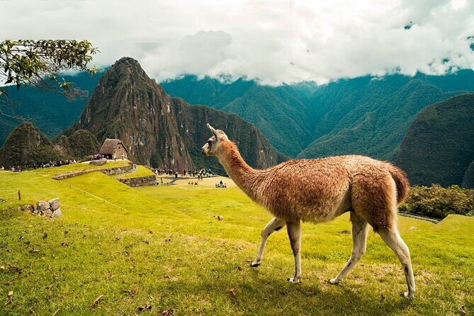 6-Day Tour of Cusco Magico-Machu Picchu-Rainbow Mountain - Cusco in one afternoon: Coricancha, Sacsayhuaman, and Tambomachay