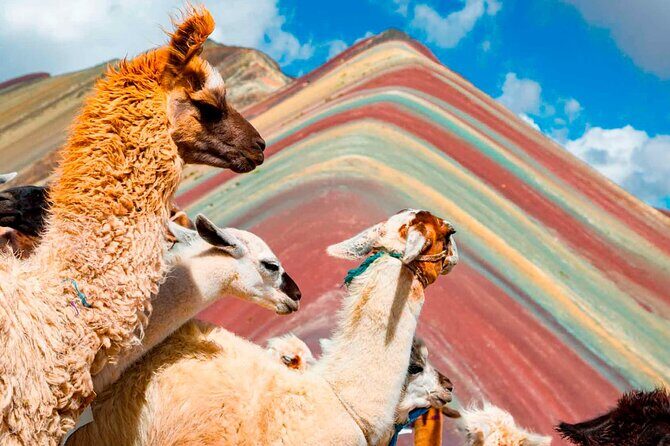6-Day Tour of Cusco Magico-Machu Picchu-Rainbow Mountain - Price and logistics: what $539 gets you and what to budget separately