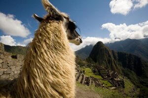6 Days Exploring Cusco, Sacred Valley & Machu Picchu - Pisac Market, Inkariy Museum, and Yucay’s Living Culture