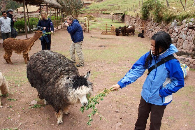 6 Days Exploring Cusco, Sacred Valley & Machu Picchu - Price Value: What $975 Covers (and Why It Matters)