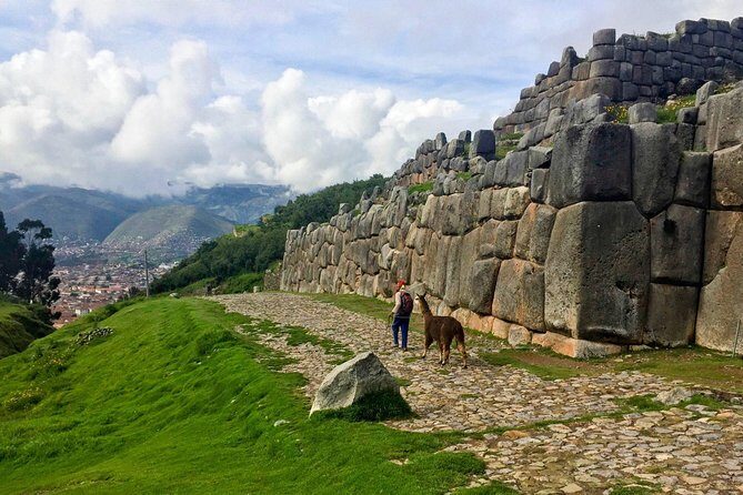 City Tour in Cusco & visit Museum South American Camelid Private. - Sacsayhuaman: The Stone Walls That Give You the Big View