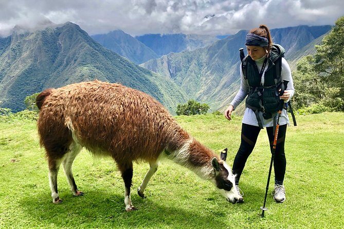 Classic Inca Trail To Machu Picchu 4 Days And 3 Nights 2026 - Day 2 over Dead Woman’s Pass: cloud forest, Runcuraccay, and Chaquicocha