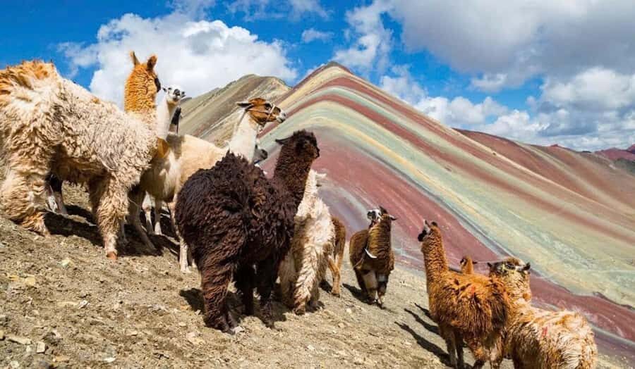 Cusco: #1 Rainbow Mountain & Red Valley Day Trip with Meals - Price and value: $19 plus the real entrance fees