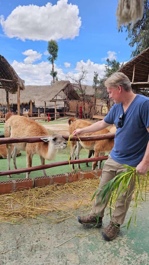 Cusco: Alpaca and Llama Farm Tour w/ Transfer & Weaving Demo - Getting Out of Cusco: Pickup and a Short Ride to the Farm
