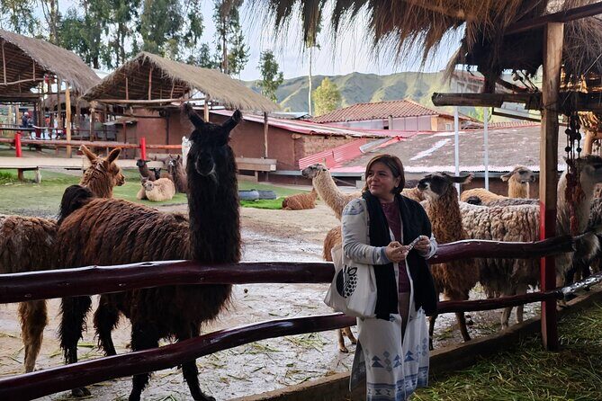 Cusco: Alpaca and Llama Farm Tour with Transfer & Weaving Demo - Who should book this tour (and who might skip it)