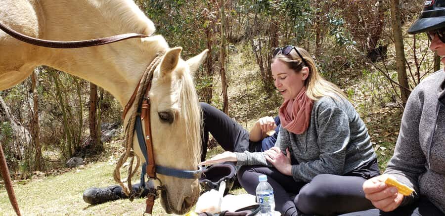 Cusco: Half-Day Horseback Riding at Devil's Balcony - From Saddle to Control: How Horse Training Works for Beginners
