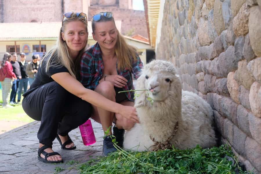 Cusco Highlights Walking Tour: History, Culture, Traditions - Sun Street (Intikijllu) and the perfect Inca walls
