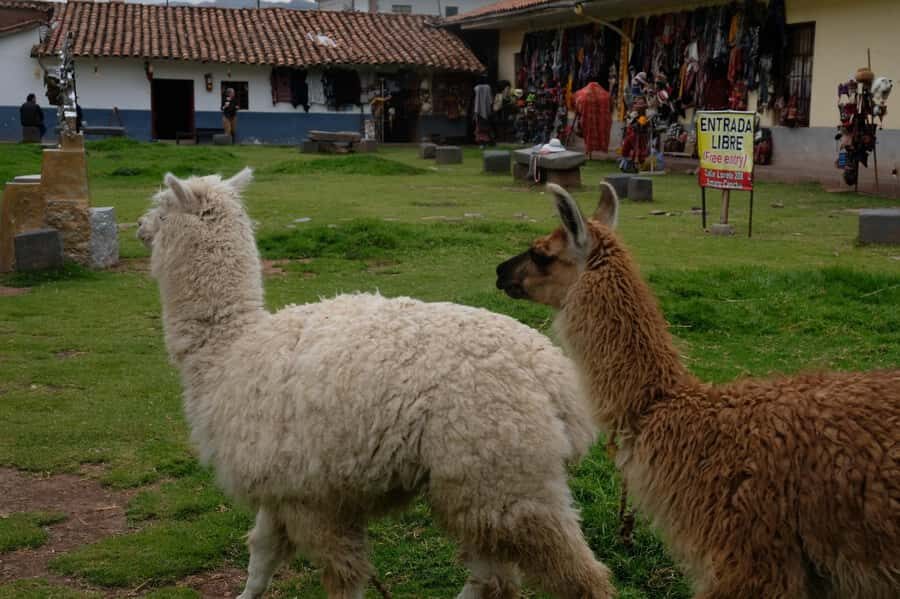 Cusco Highlights Walking Tour: History, Culture, Traditions - Coricancha: temple history even if you don’t go inside