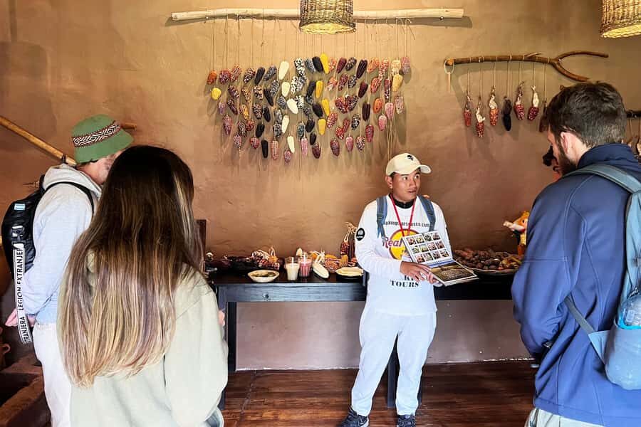 Cusco: Historic Walking Tour with Pisco Sour and Music Show - Qoricancha and the “Inca art you can point to”