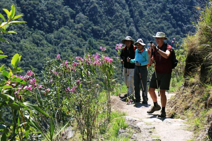 Cusco: Machu Picchu 2-Day Inca Trail with Panoramic Train - Sunrise on Machu Picchu: the guided tour that turns rocks into meaning