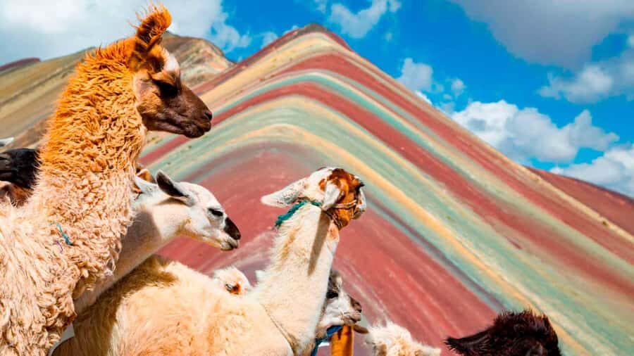 Cusco: Rainbow Mountain and Red Valley Guided Day with Meals - What You’ll Notice Right Away