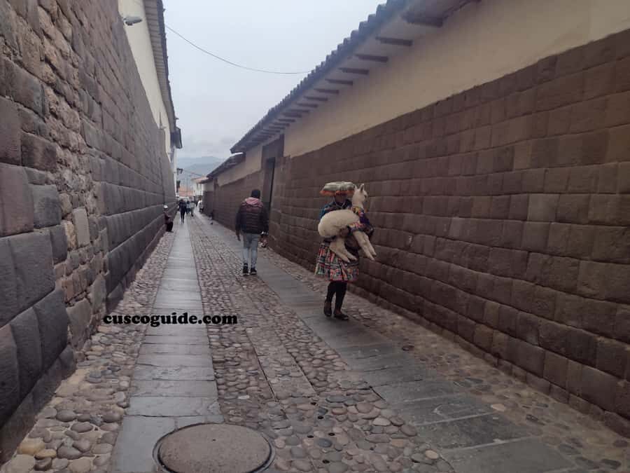 Cusco Walking Tour: Downtown, Sun Temple & San Blas Views - Plaza de Armas: where the Inca road system starts