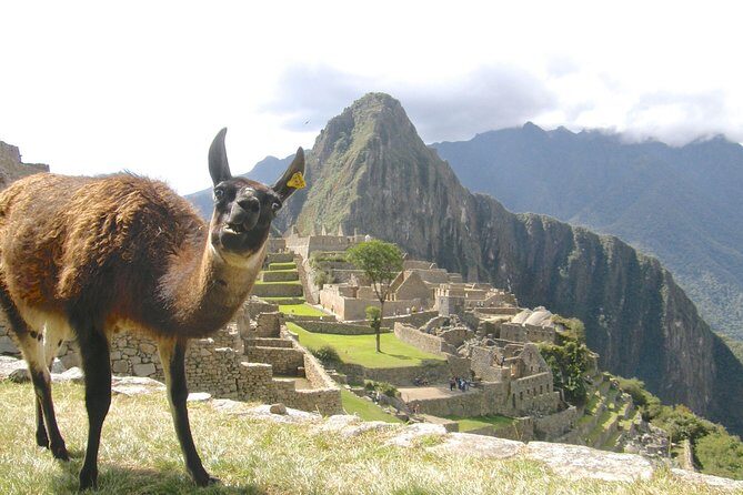 Day Trip Tour to Machu Picchu from Cusco - Aguas Calientes: hot springs town, bus ride, and lunch time