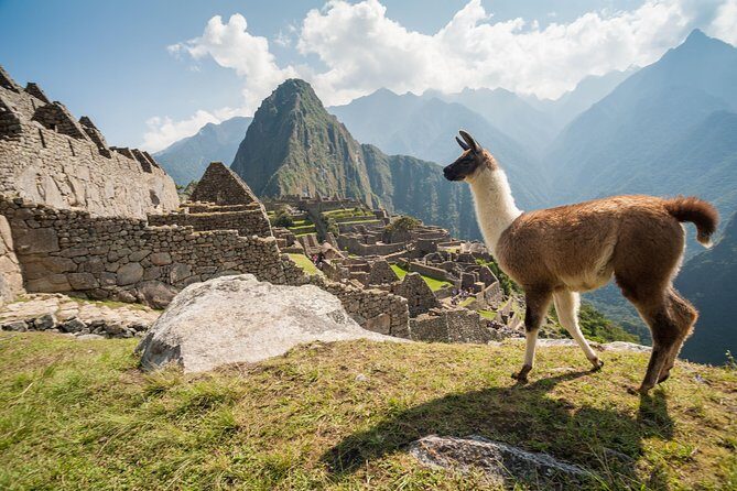 Day Trip Tour to Machu Picchu from Cusco - Small group size and what it means for your comfort