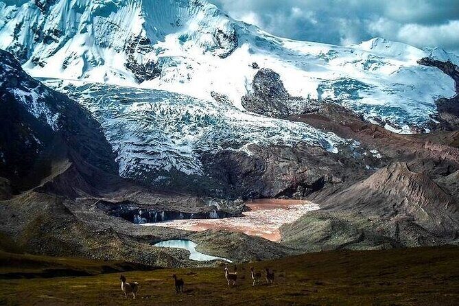 Excursion to Ausangate & 7 lakes with Coca Ceremony |Private| - Price and value: is $108 per person worth it?