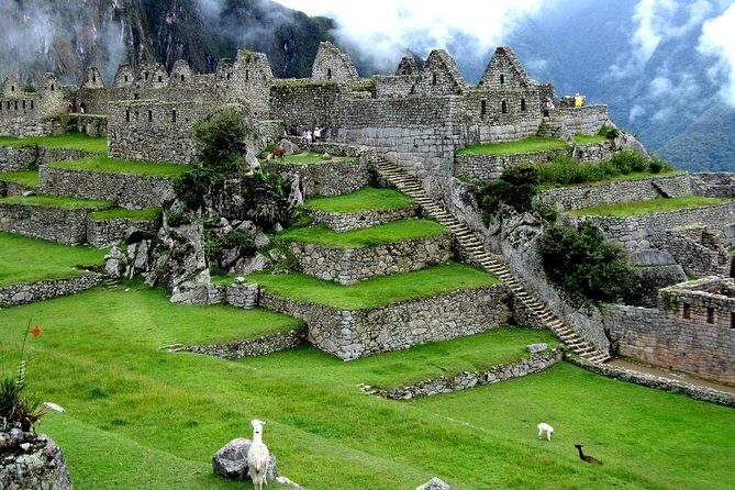 Excursion to Machu Picchu from Cusco full day - Private Service - Private service reality check: who it’s best for