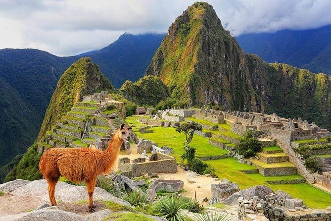 Excursion to MachuPicchu from Cusco with lunch | Private Service| - Key highlights worth your attention