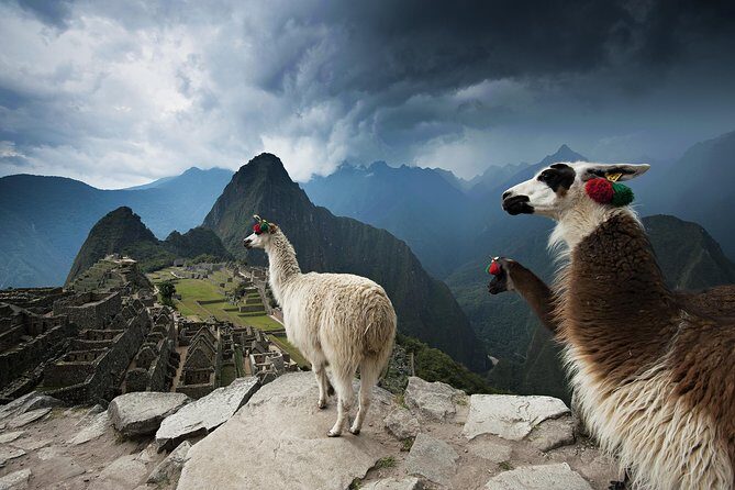 Excursion to MachuPicchu from Cusco with lunch | Private Service| - Train to Aguas Calientes: comfort and views, with a purpose