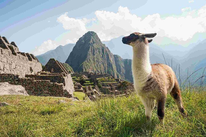 Excursion to MachuPicchu from Cusco with lunch | Private Service| - The return to Cusco: buses, train, and the long final stretch