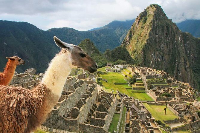 Excursion to MachuPicchu with Train Vistadome Full Day - Getting back to Cusco: transport included, patience required