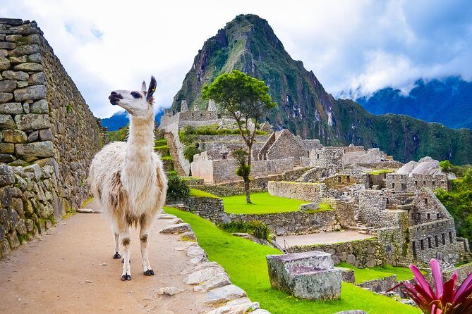 Excursion to MachuPicchu with Train Vistadome Full Day - Price and value: what $403.75 really buys