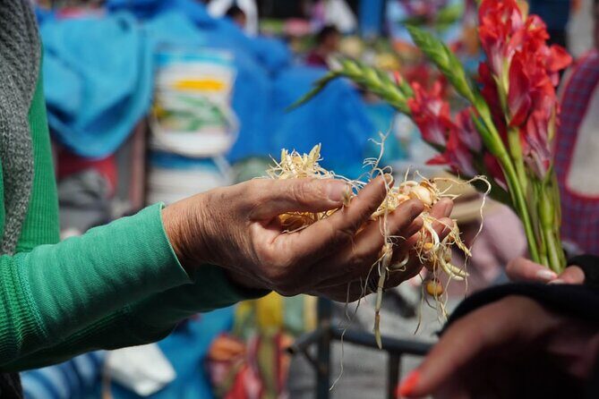 Food and Culture Full day Tour in the Sacred Valley - Key highlights at a glance
