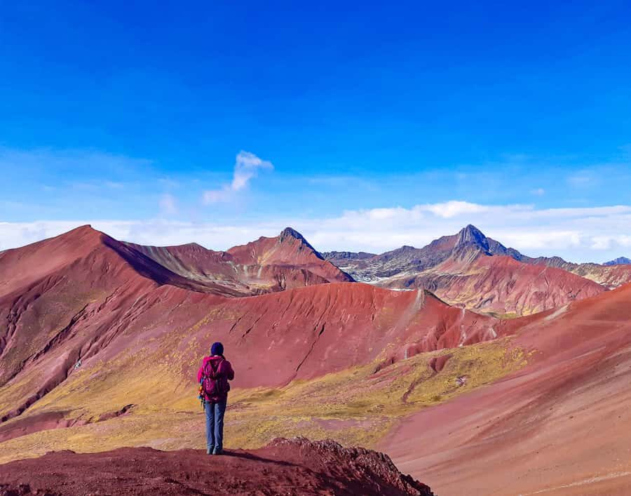 From Cusco: Full Day Rainbow Mountain + Red Valley | PRIVATE - Vinicunca summit time: photos, breathing space, and the Red Valley option