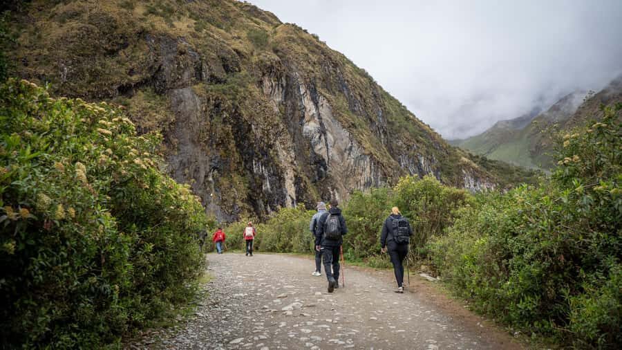 From Cusco: Humantay Lake Tour - Horses and alternatives: saving energy the right way