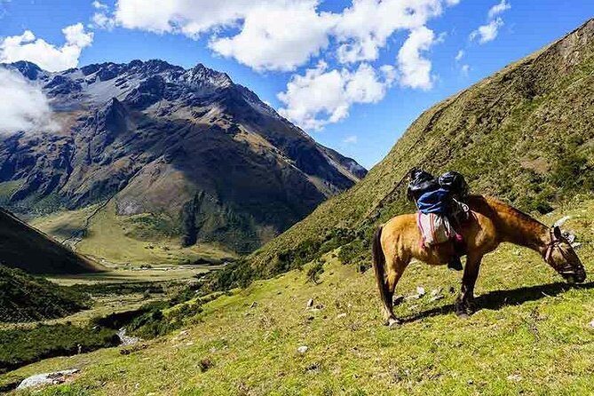 From Cusco: Humantay Lake with Breakfast and Buffet Lunch - Safety and Support: First Aid Kit, Emergency Oxygen, and a Calm Guide