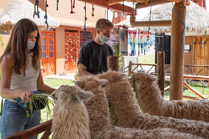 From Cusco: Sacred valley and Moray salt Mines - Key highlights at a glance