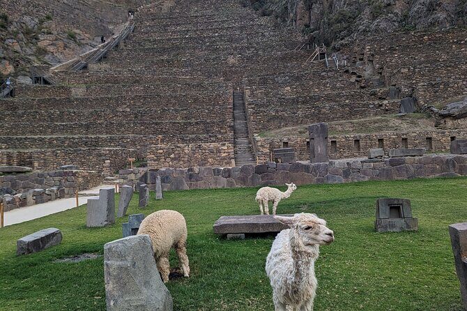 from Cusco:Chinchero,Moray & Salt Mines drop-off in Ollantaytambo - Price and value: why $39 can work well (if you budget entrances)