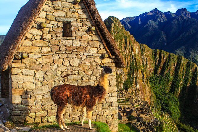 Full Day - Machu Picchu tour by Train - Group Service - Should you book this Machu Picchu train group tour?